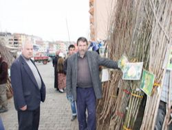 Oltu'da fidan satışı başladı!..