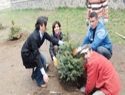 Park bahçelere kınalı eller değdi!..