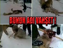 Vahşetin yaşandığı köye baskın!..