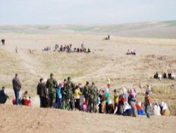 Erzurum'da arazi kavgası 1 yaralı!..