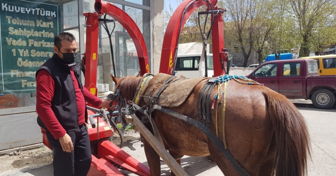 Erzurum'da dörtnala koşan at, trafiği birbirine kattı