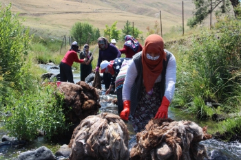 Erzurumlu kadınların yün yıkama dönemi başladı