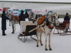 Erzurum'da kızak yarışları yapıldı