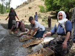 Turistler derede yün yıkadı