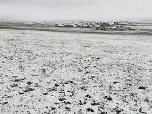 Erzurumda Mayıs ayında kar yağdı