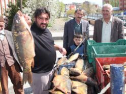 Çıldır gölünün balıkları Oltu'da satışa sunuldu