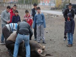 Erzurum`da kurban bayramı