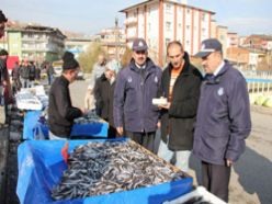 Balık tezgahlarına sıkı denetim