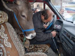 Bu görüntü Erzurum`dan