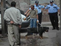 Erzurum`un tutuklu köpekleri