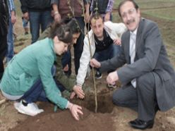 Başkan Bulutlar gençlerle fidan dikti