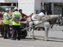 Erzurum'da at arabası yasağı