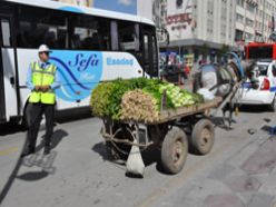 Polisten at arabası uyarısı