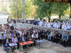 Cevizli köyünün cevizleri görücüye çıktı