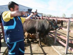 Erzurum'da kurban timi kuruldu