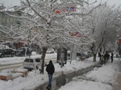 Erzincan'da kar yağışı devam ediyor