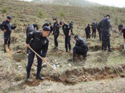 Polisler, şehit polis için ağaç dikti