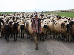 Göçerlerin dönüş yolculuğu başladı