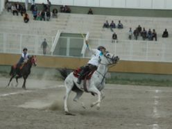 Cirit müsabakaları tüm hızıyla devam ediyor