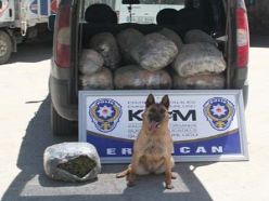 Erzincan'da 76 kilogram esrar ele geçirildi