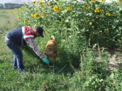 Jandarma'dan büyük operasyon