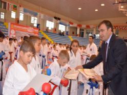 Karate şöleni başladı