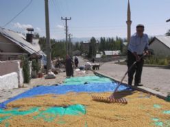 Yüzyıllardır devam eden bulgur kaynatma geleneği