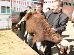 Erzurum'da kurban manzaraları