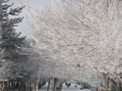 Doğu'da soğuk hava