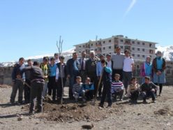 Erzurum'da okul bahçeleri ağaçlandırılıyor