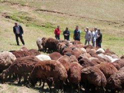 Oltu'da Orköy faaliyetleri devam ediyor