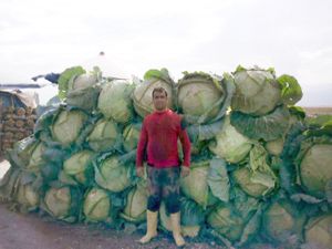 Pasinler lahanasına büyük ilgi