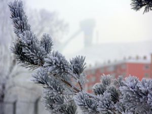 Erzurum'da düşen kırağı