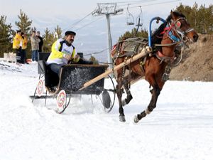 Türkiye kızak şampiyonası Erzurum'da