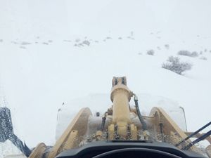 Erzurum'da kar ve tipi hayatı felç etti