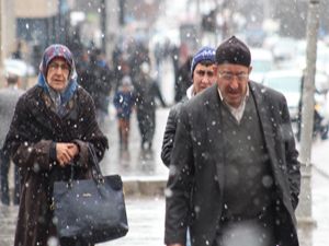 Erzurum'da kar yağışı