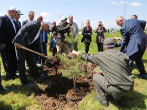 ETÜ yerleşkesine 'kent konseyi hatıra ormanı'