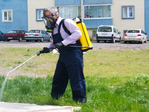 Büyükşehir Belediyesi ilaçlama çalışmalarına hız verdi