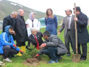 ESKİ'den tesilerin çevresine 3 bin fidan