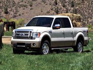 Ford Trucks servis günleri Erzurum'da