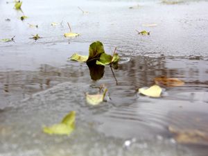 Erzurum'da soğuk hava göleti dondurdu