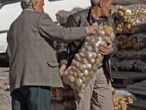 Erzurum'da kış öncesi patates ve soğan satışı arttı