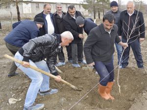 DAP destekli meyvecilik bölgede hız kazanıyor