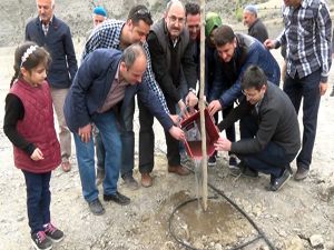 DAP bölge kalkınma idaresi başkanlığı'ndan meyveciliği geliştirme projesi