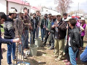 Atatürk Üniversitesi, Erzurum'da elma yetiştirecek