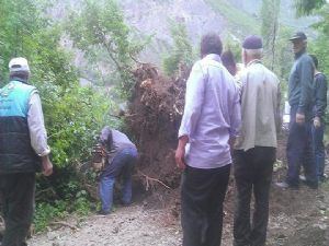 İspir'de fırtına ağaçları kökünden söktü