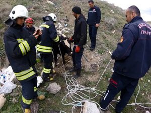 Menfezde sıkışan iki danayı itfaiye ekipleri kurtardı