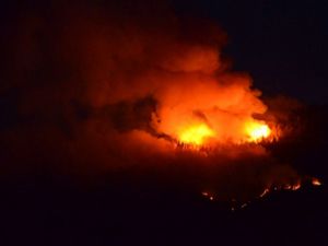 Erzurum'da orman yangını