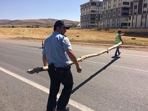 Ağaç tomruklarıyla yolu trafiğe kapattı