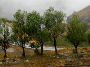 Palandöken'e mevsimin ikinci karı yağdı